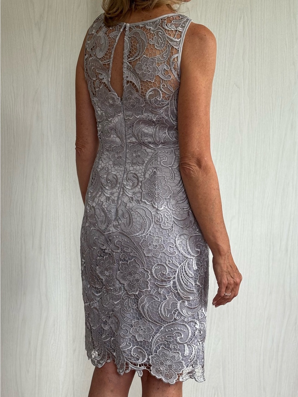 Adrianna Papell Silver Lace Midi Sheath Dress - Picture 4 of 5